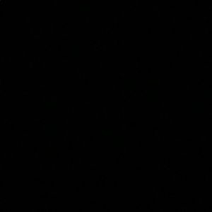 Meet your Posher, Dalia